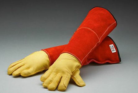 Bitemaster.Animal.Handling.Gauntlet.