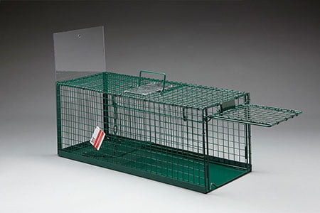 eezicatch-cat-trap-solid-floor