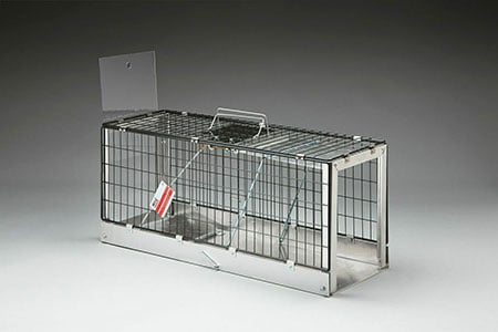 foldaway-eeziset-cat-trap