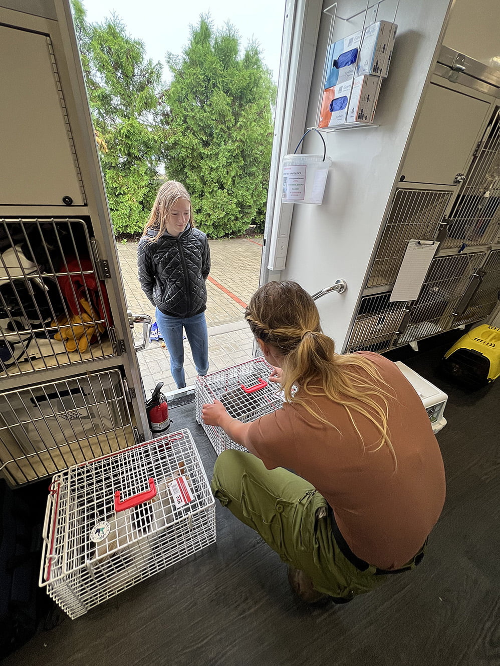 Treated cats ready to be released