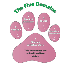 five-domains-web-utahhumane