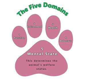 The five domains welfare overview